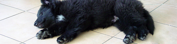 An Image Slideshow
