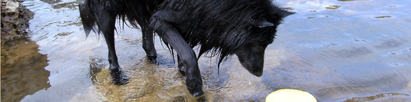 An Image Slideshow