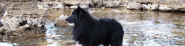 An Image Slideshow