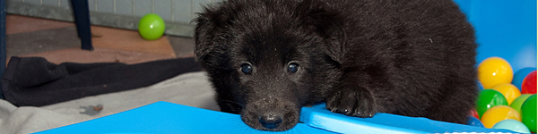 An Image Slideshow