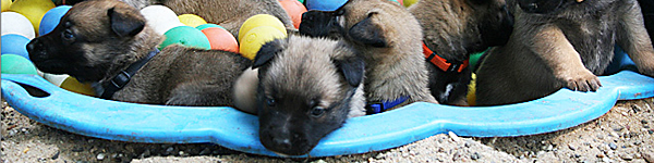 An Image Slideshow