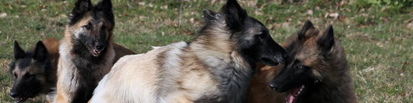 An Image Slideshow