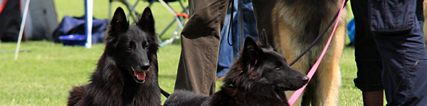 An Image Slideshow