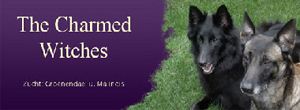 Homepage The Charmed Witches