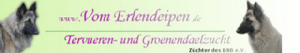 Homepage vom Erlendeipen