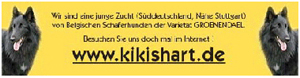 Homepage von Kikishart