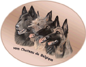 Homepage vom Chateau de Belgique