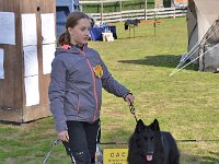 04a Bester Rüde GR Grizzly von Canis Lupus Pallipes