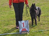 01 Black Heartbreakers Elemetary Bester Jüngstenhund Jüngstensieger Bayern 2022