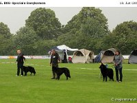 Impr-Bergk 110618 011