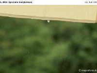 Impr-Bergk 110618 019