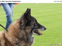 Impr-Bergk 110618 043