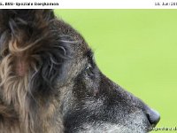 Impr-Bergk 110618 045