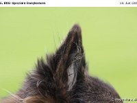 Impr-Bergk 110618 047