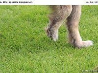 Impr-Bergk 110618 048