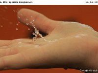 Impr-Bergk 110618 061