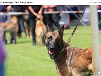 Impr-Bergk 110618 066