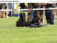 Impr-Bergk 110618 067