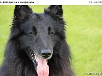 Impr-Bergk 110618 100