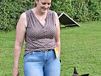 DSC 0154  Missili Ach und Krach