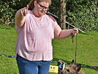 DSC 0174  Sindecade Galaxy