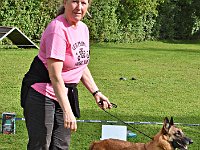 DSC 0176 Quitana the future of the beautiful black one