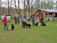 1. Platz ZG von Canis Lupus Pallipes (2)