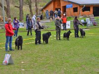 1. Platz ZG von Canis Lupus Pallipes (3)