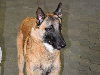06-2