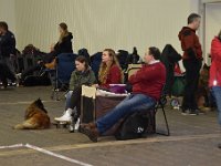 DSC 0018