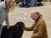 8 Highlander Mylo Von Canis Lupus Pallipes 1