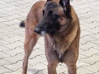 WhatsApp Image 2026-01-10 at 17.46.52 (6)