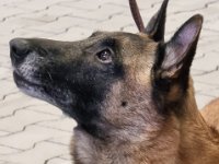 WhatsApp Image 2026-01-10 at 17.46.53 (1)