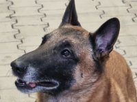 WhatsApp Image 2026-01-10 at 17.46.54 (5)