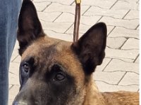 WhatsApp Image 2026-01-10 at 17.47.33 (3)