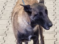 WhatsApp Image 2026-01-10 at 17.47.58