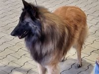 WhatsApp Image 2026-01-10 at 17.47.59 (4)