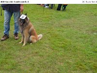 DSC 0469