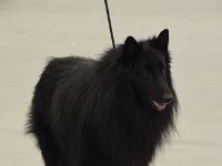 DSC 0026