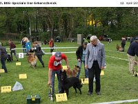IMG 8502