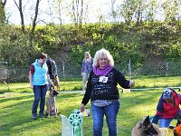 06 Bester Hund der Ausstellung Rouge vom Egelschütz