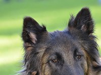 67 Caja vom Leonberger Mühlbach