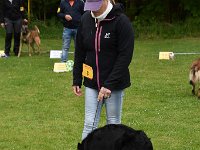DSC 0367 Bester Jüngstenhund GR