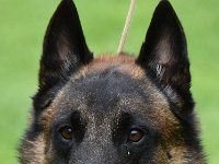 26 Quiet Before The Storm-Arco of the beautiful black one 0343