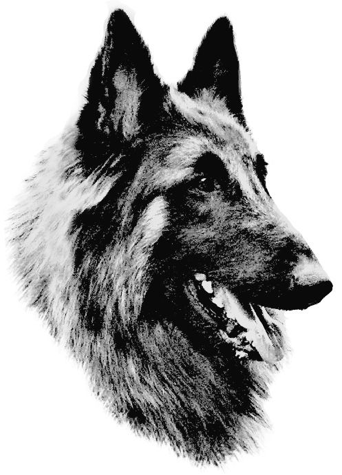Carlos Santana von den Hugenotten von den Hugenotten
