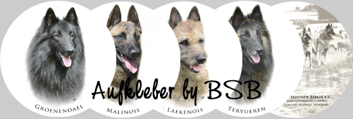 BSB Aufkleber