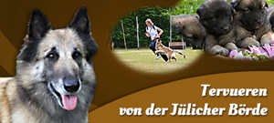 Homepage von der Jülicher Börde