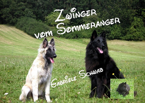 Homepage vom Sommeranger