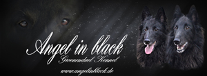Homepage Angel in black