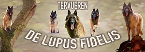 Homepage de Lupus fidelis